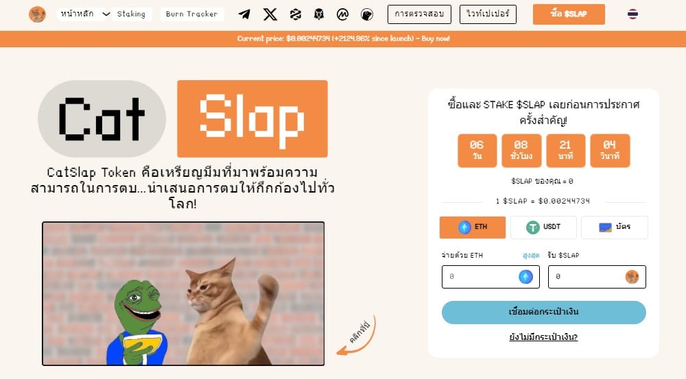 Catslap - โครงการเหรียญที่จะทำให้ทาสแมวใจละลาย พร้อมกับกิจกรรมระดับโลก